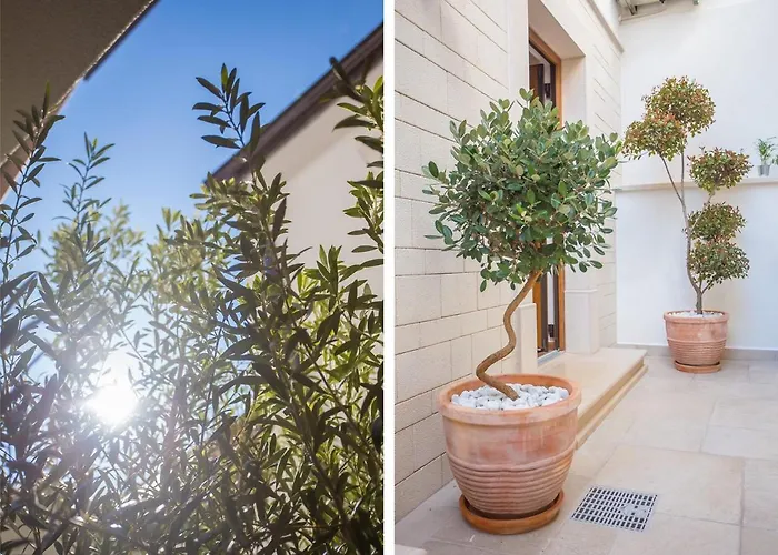 Ferienhaus Camellia *