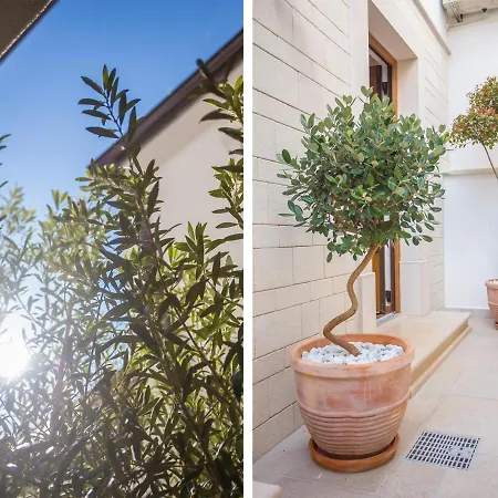 Holiday home Camellia *